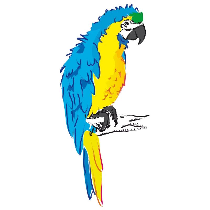 Macaw parrot yellow, blue drawing