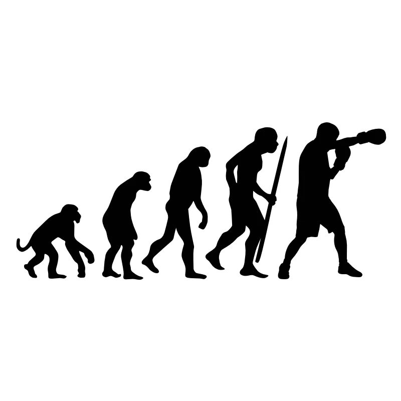 Evolution of Boxing