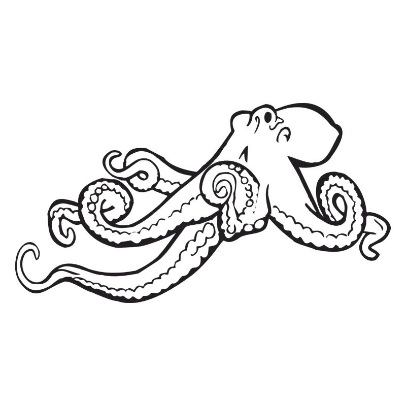 tintenfisch giant octopus krake kalmar sepien fish