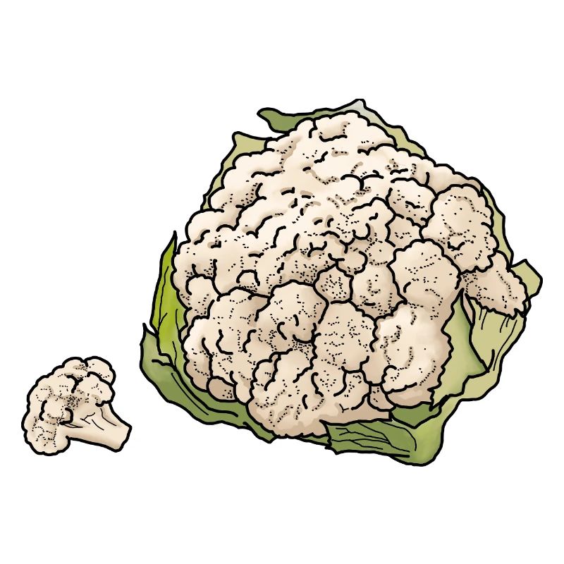 chou-fleur