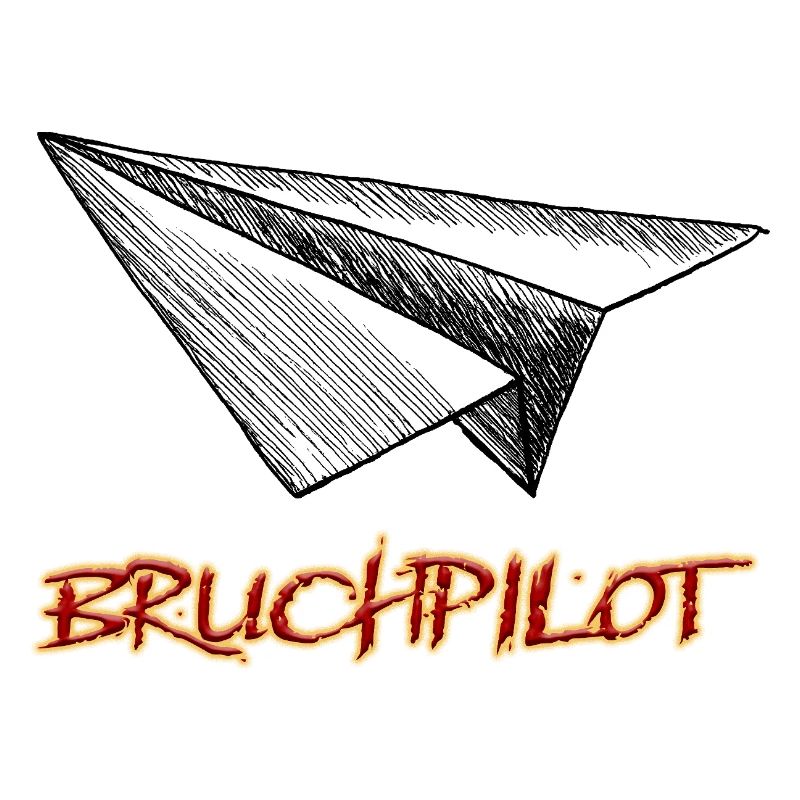 Crash pilot