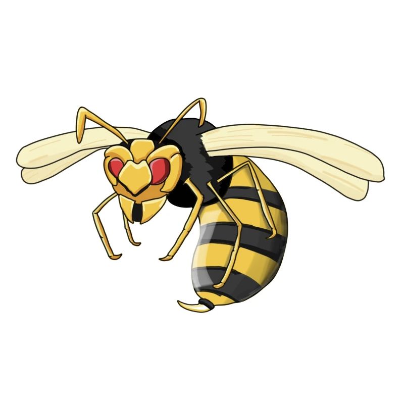 guêpe