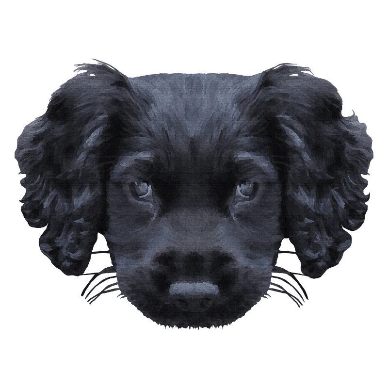 weihnachtsgeschenke für jedermann, Cocker spaniel