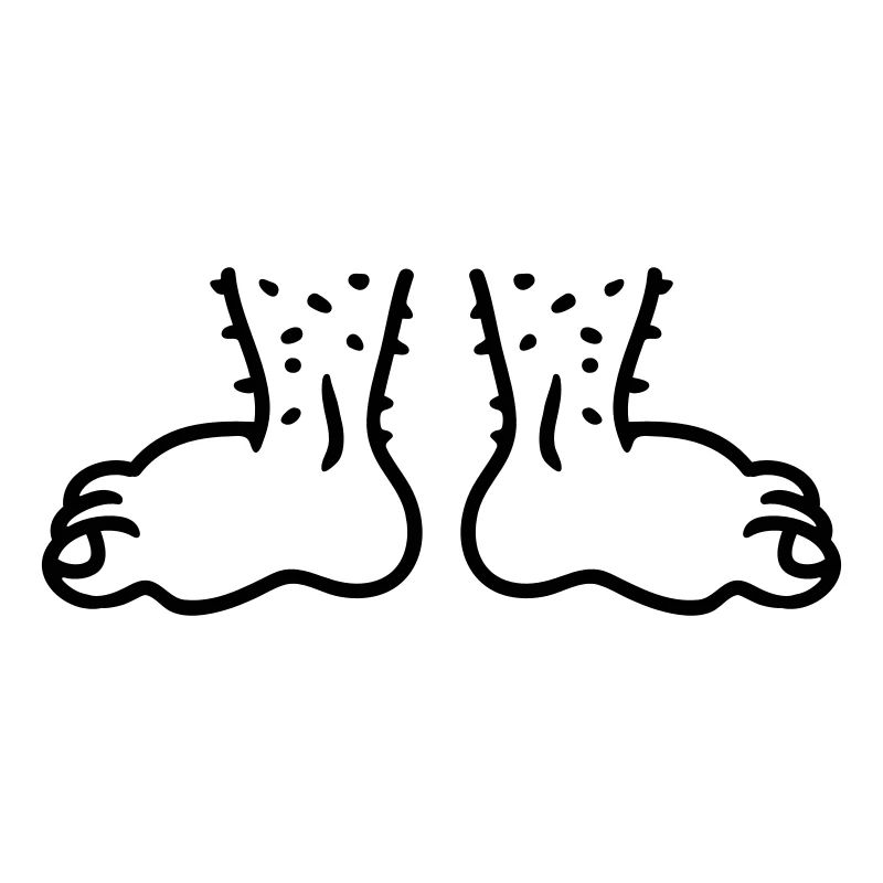 Feet - Line