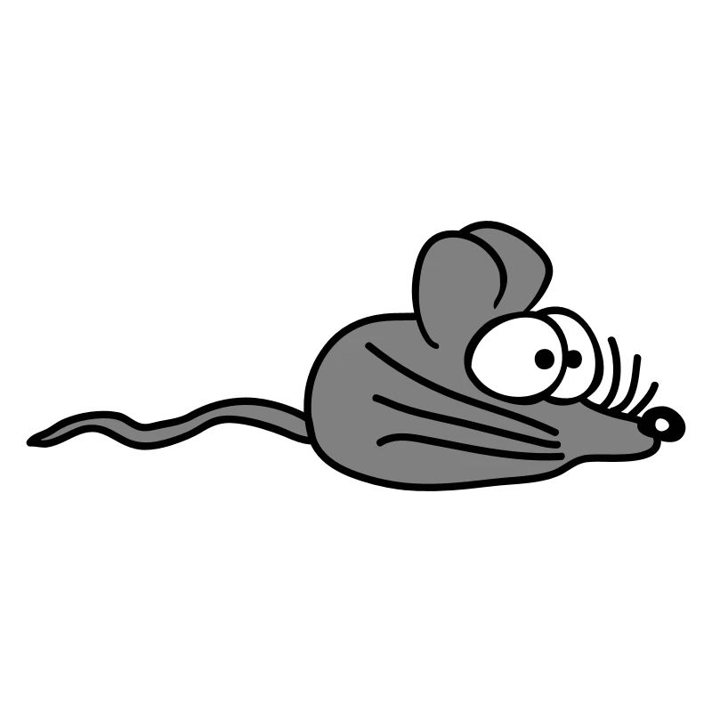 souris souris mignon petit rat rongeur amical