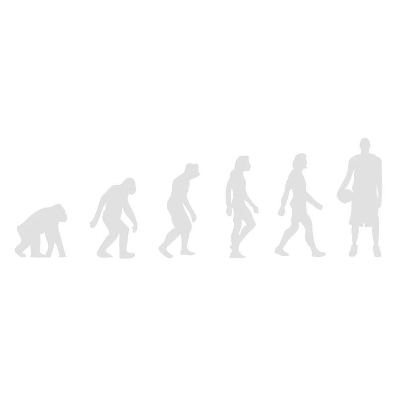 Die Evolution des Basketballs