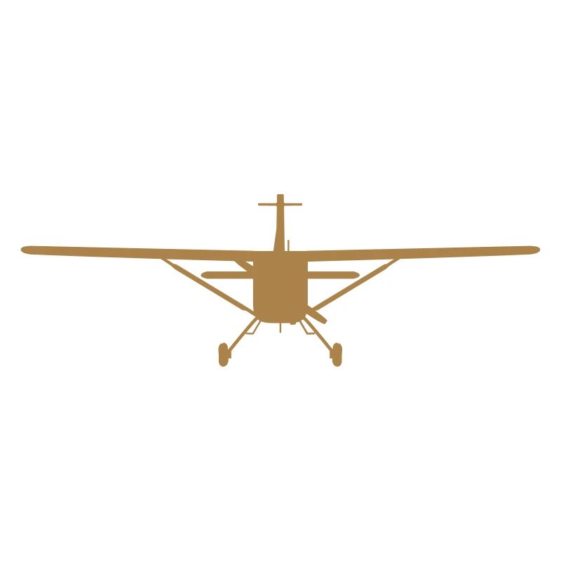 Flugzeug-Silhouette von vorn [vec]