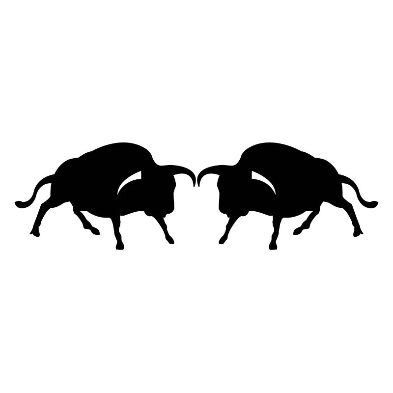 stier2
