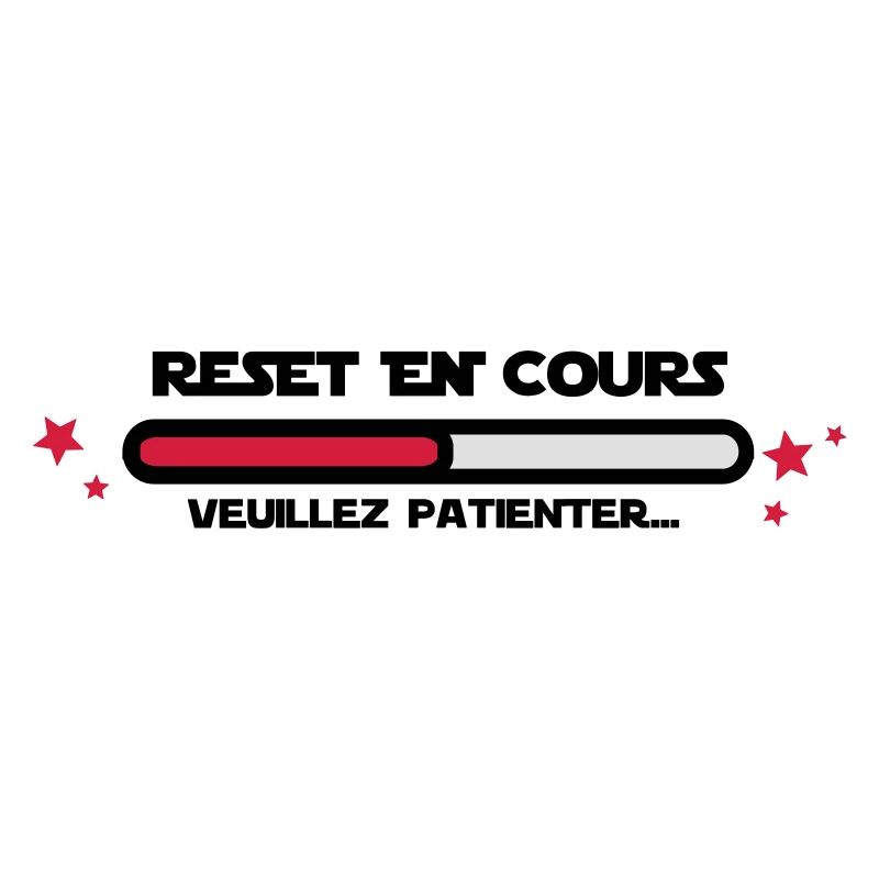 RESET en cours