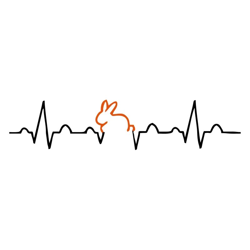 lapin ECG