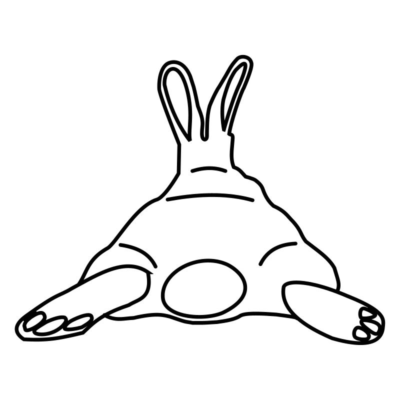 rabit