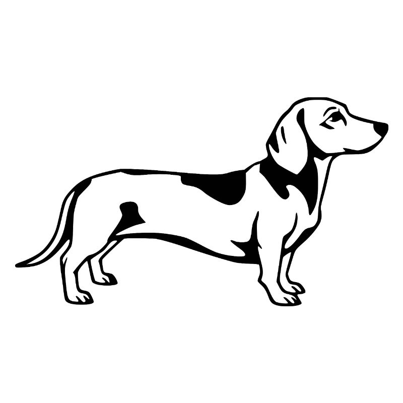 Dachshund schwarz