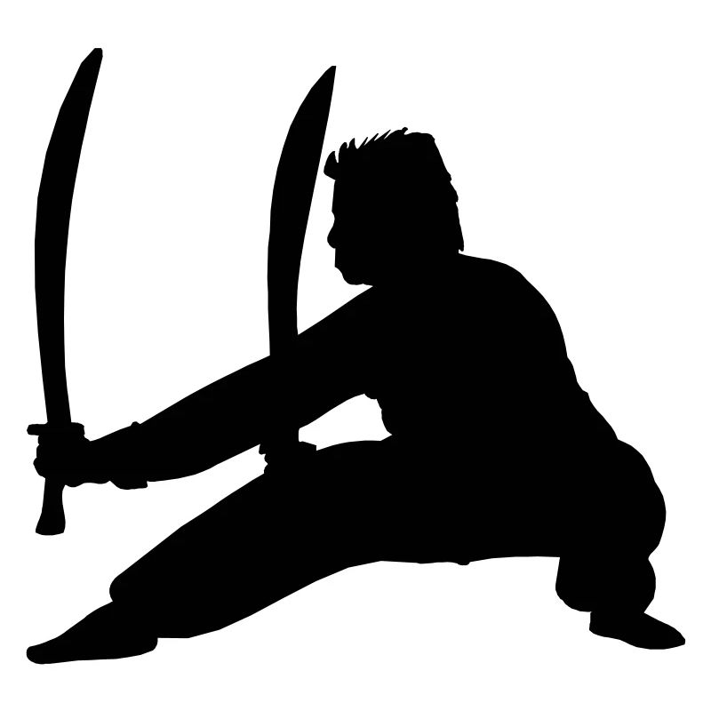 Kung fu practitioner with two swords