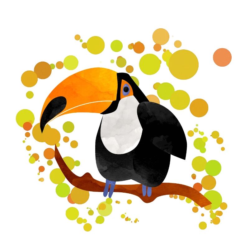 Toucan
