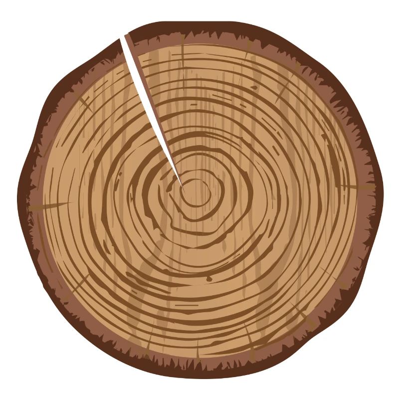 Eine Holzscheibe mit Jahresringe und einen Spalt