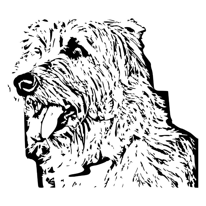 Hund