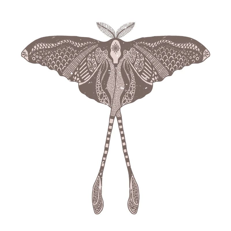 Chinese Moon Moth - Luna Moon Moth