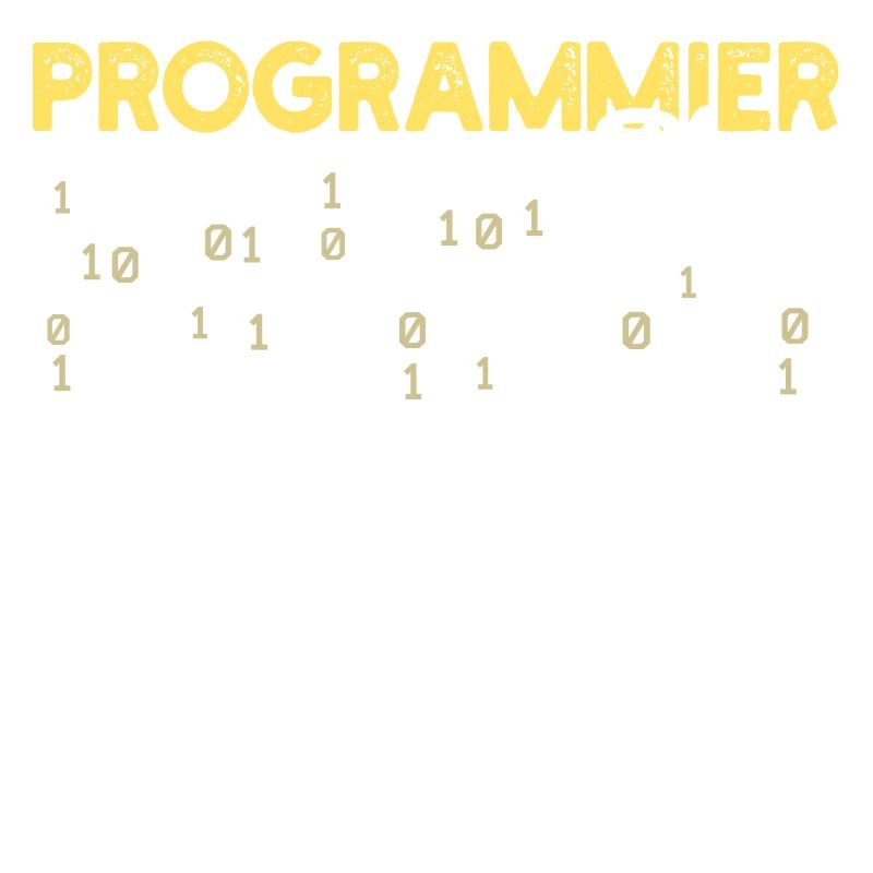 Déclaration du développeur Coden Scripting Développeur Web