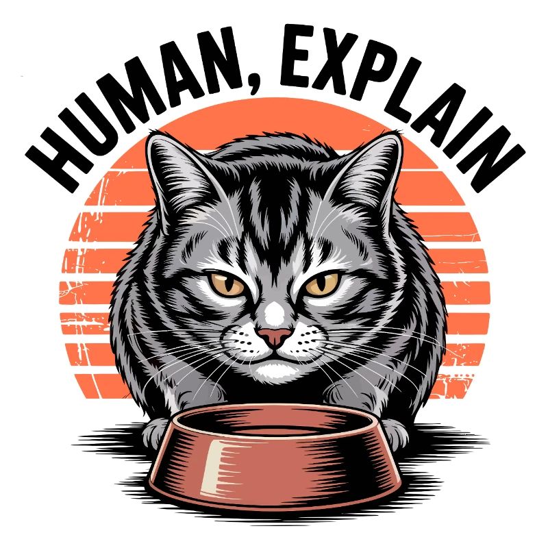 Mensch Explain Katze