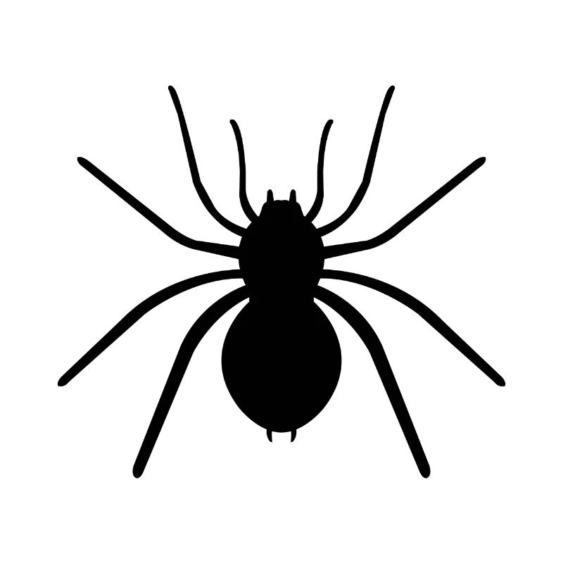 Spinne
