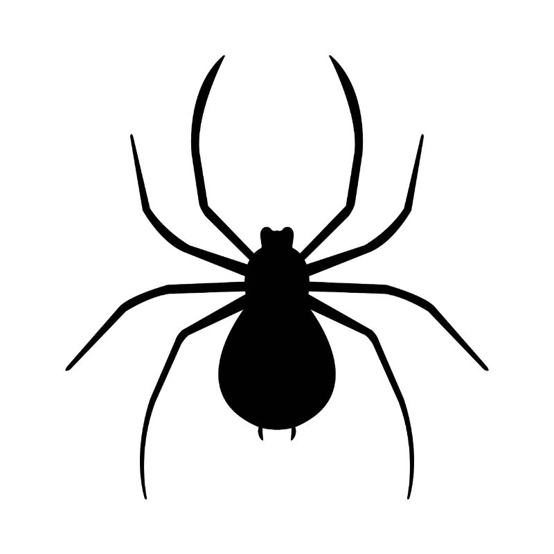 araignée