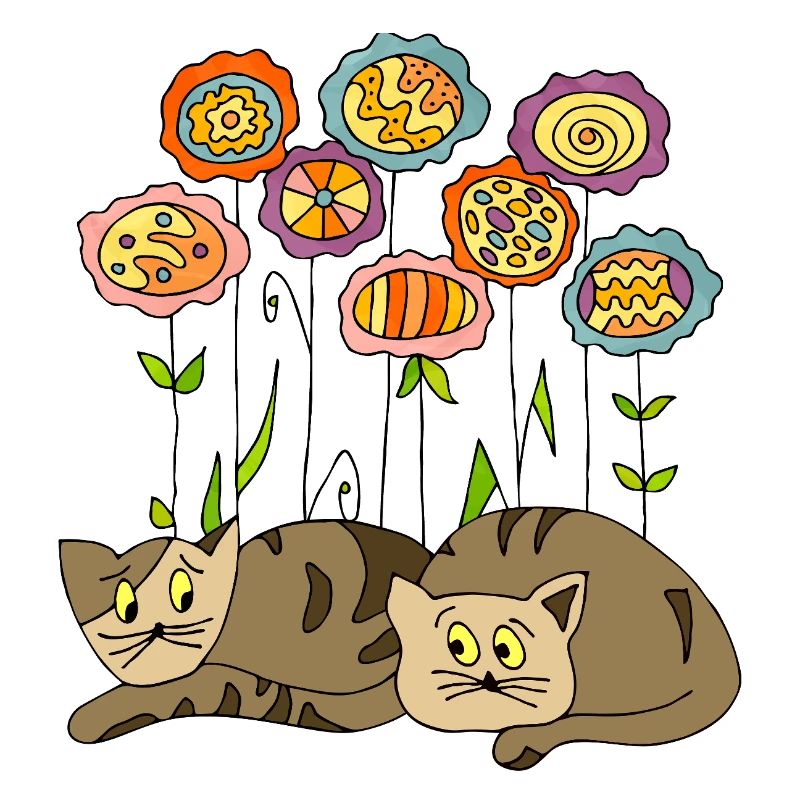 Chats
