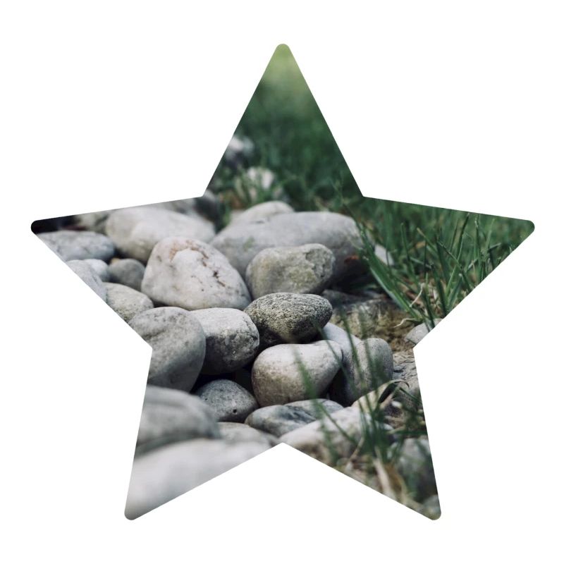 Étoile de la nature