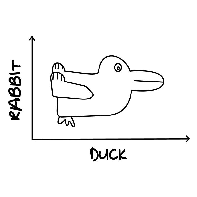 Duck'n Rabbit