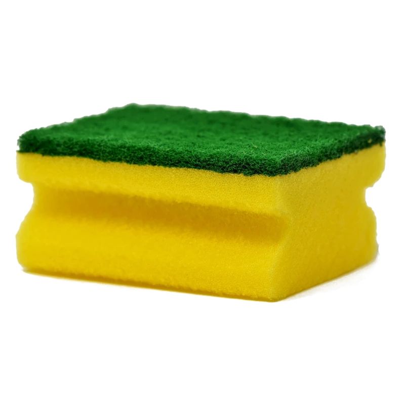 sponge
