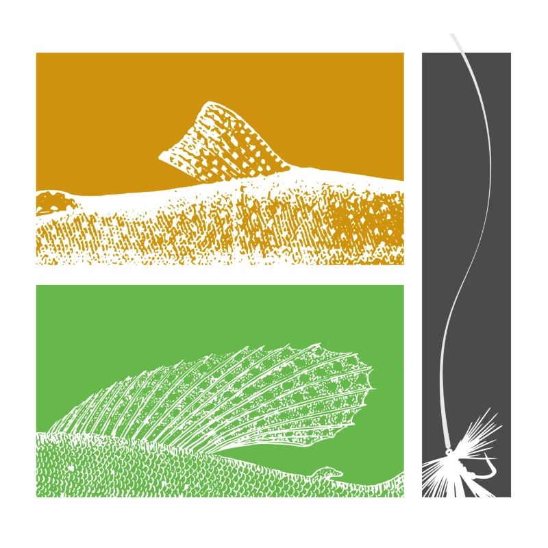 Modell 26 - Forelle und Äsche