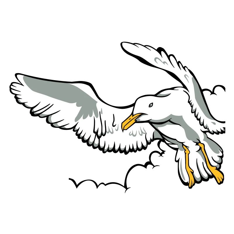 Möwe