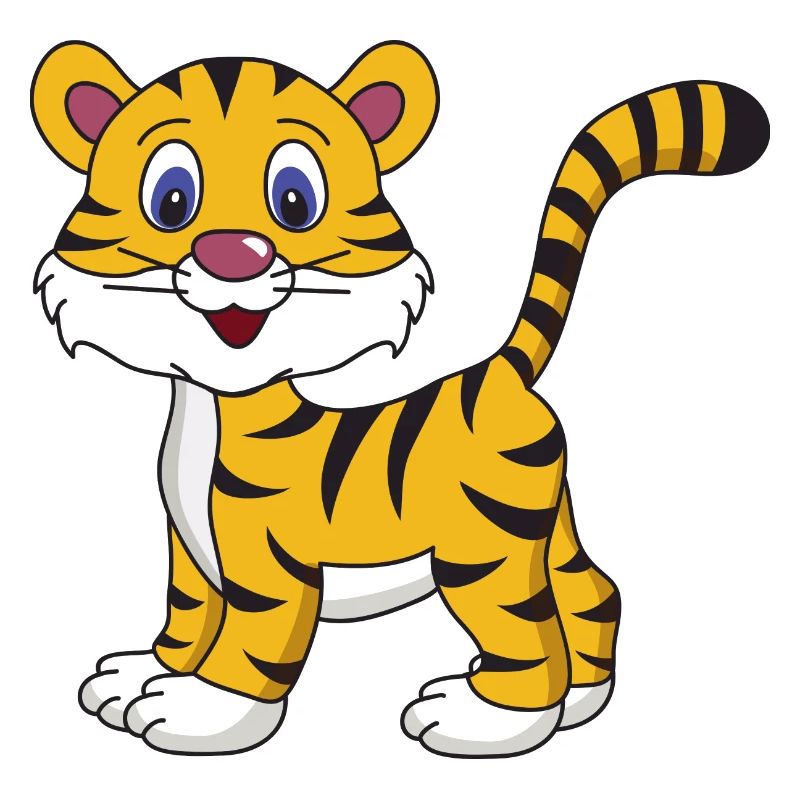 Bébé Tigre