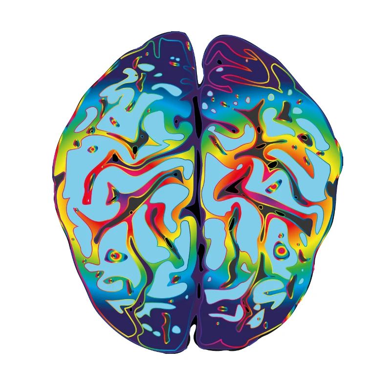 LSD Brain