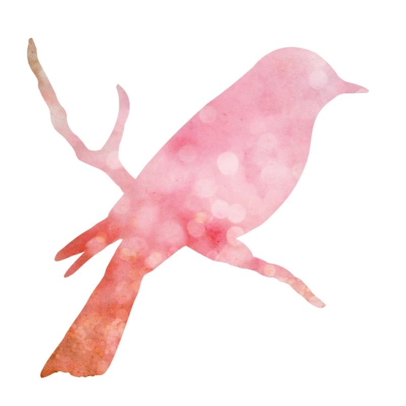 Ethno Travel Experience