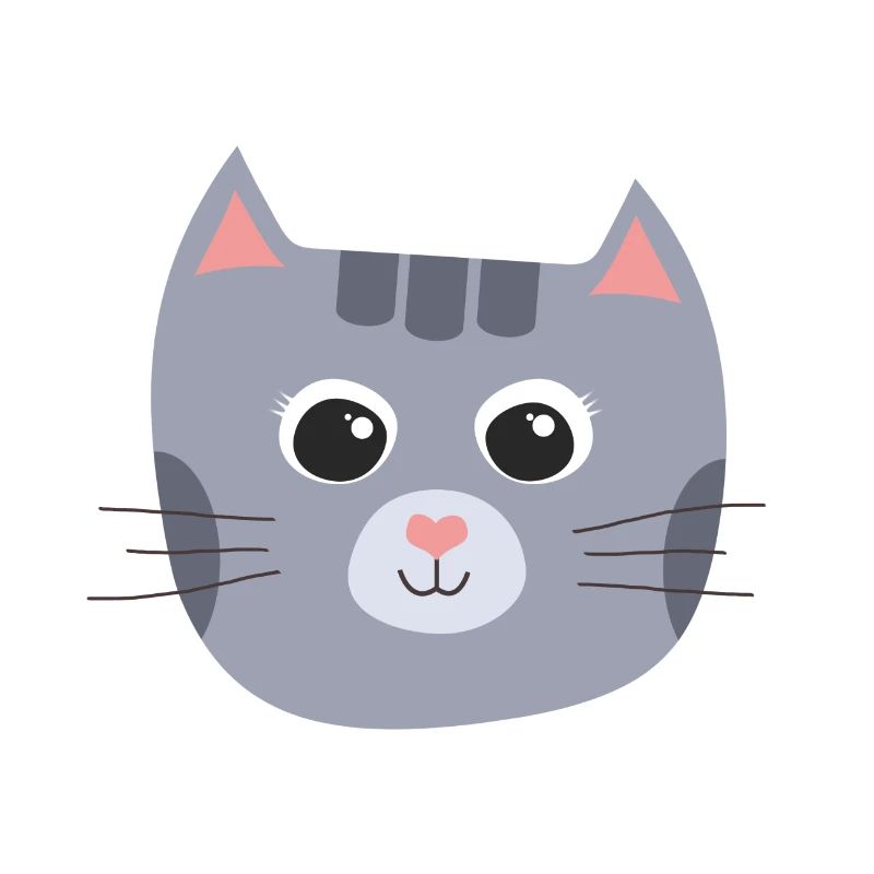 chaton