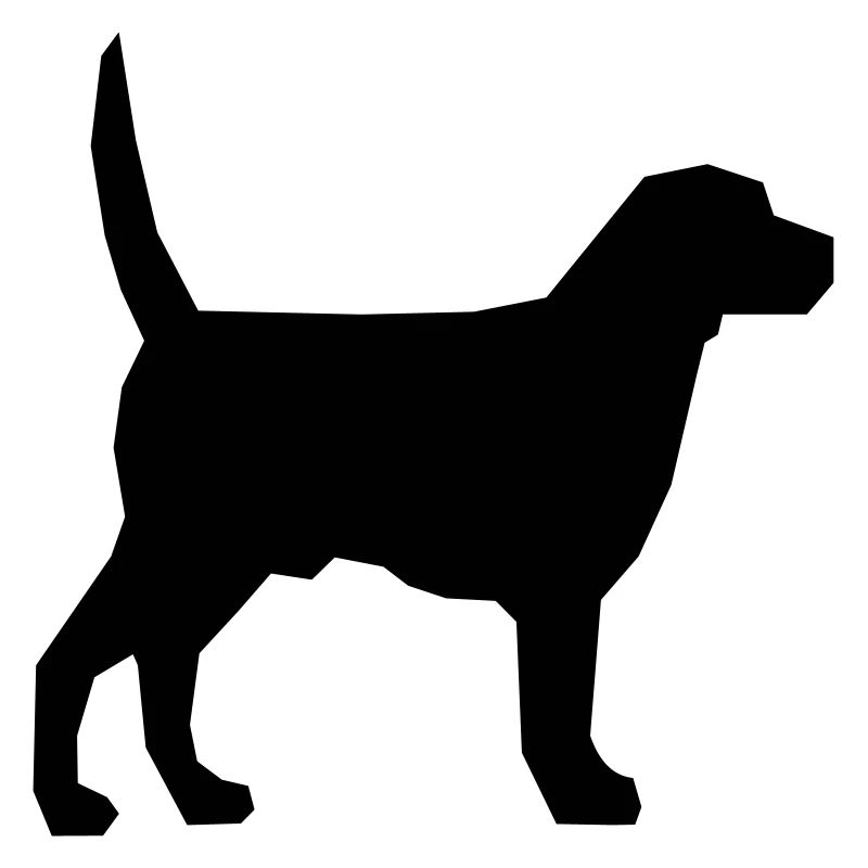 Hund