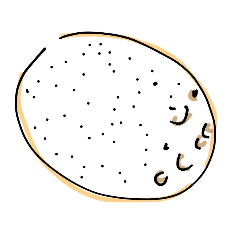 pomme de terre