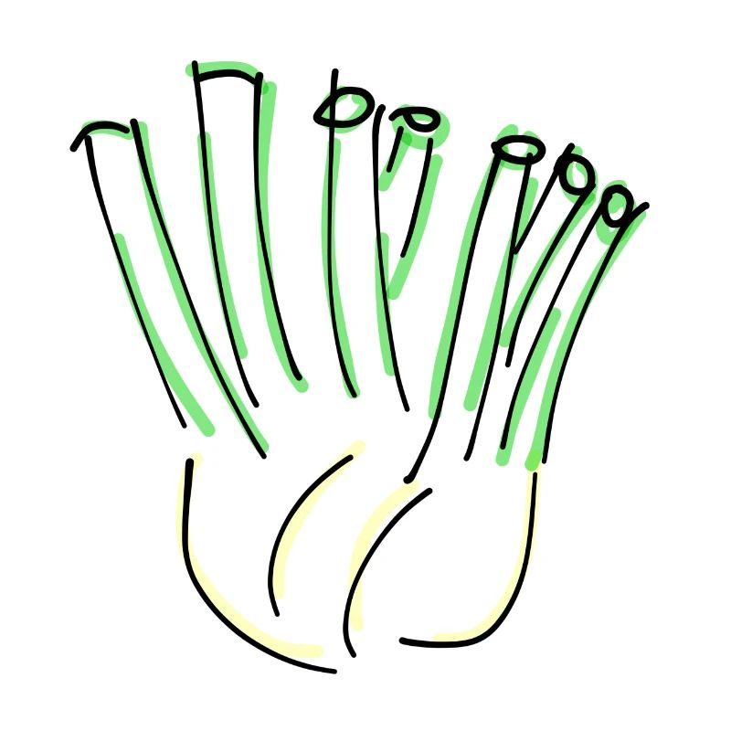 fennel