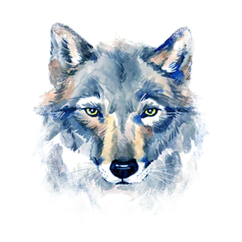 Art Wolf