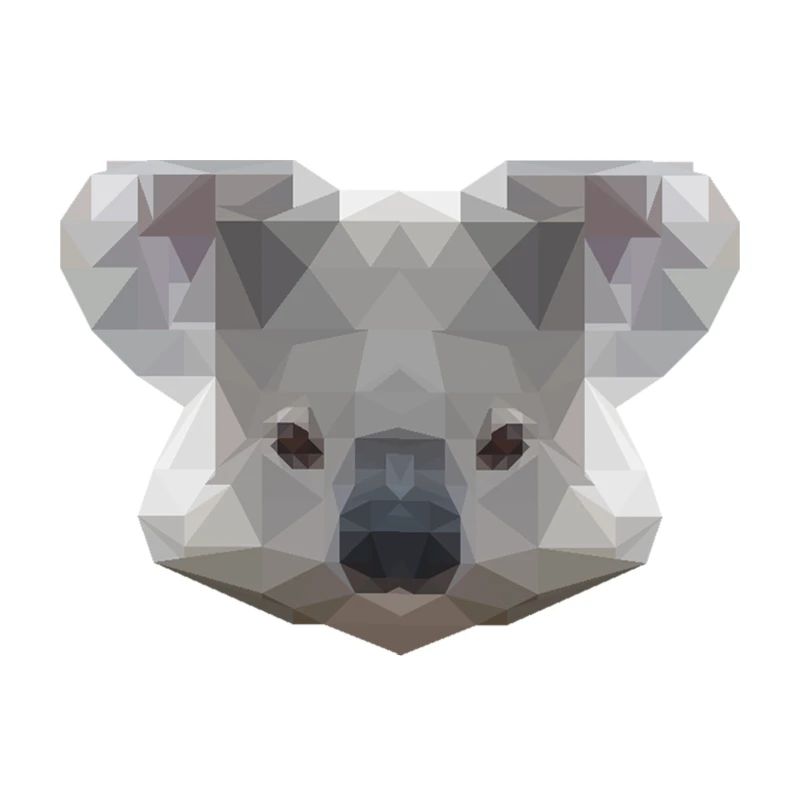 Mr Koala