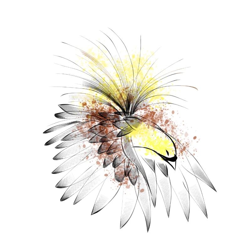 Oiseau de paradis