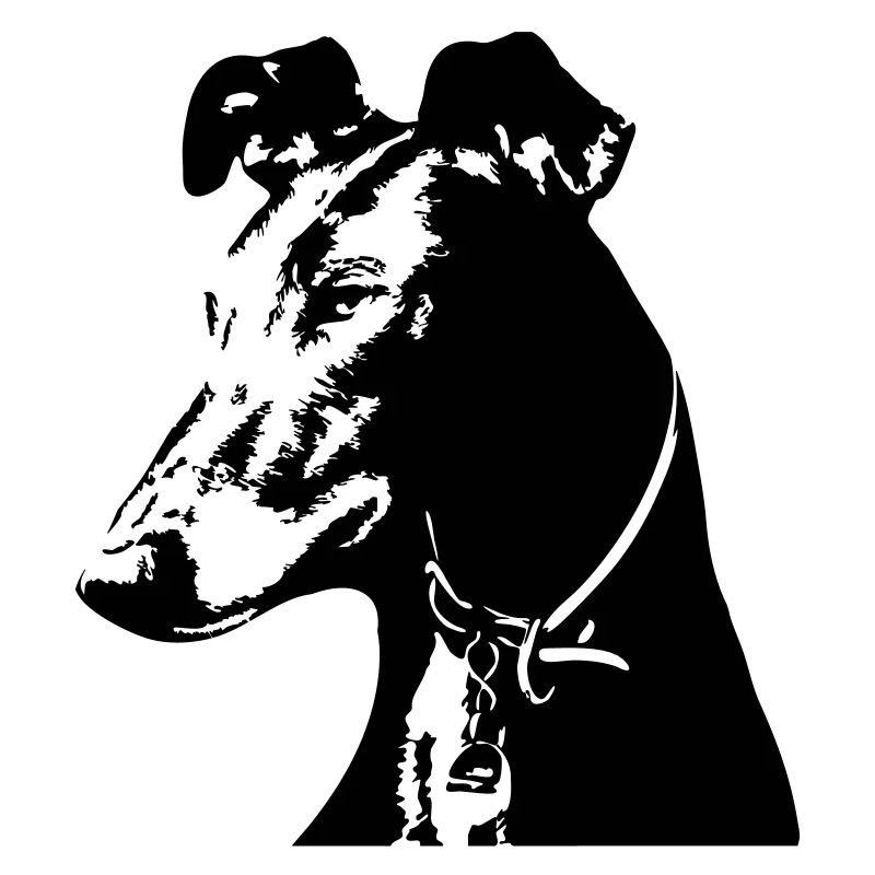 Galgo Kopf