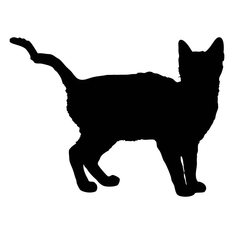 katze