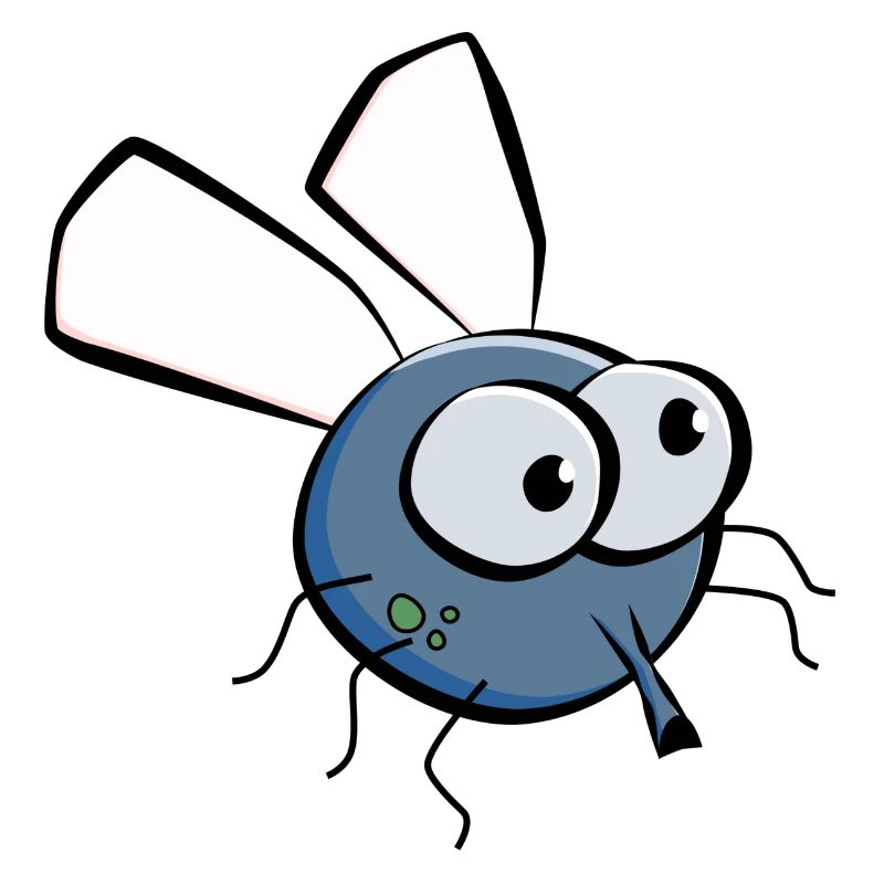 Stubenfliege