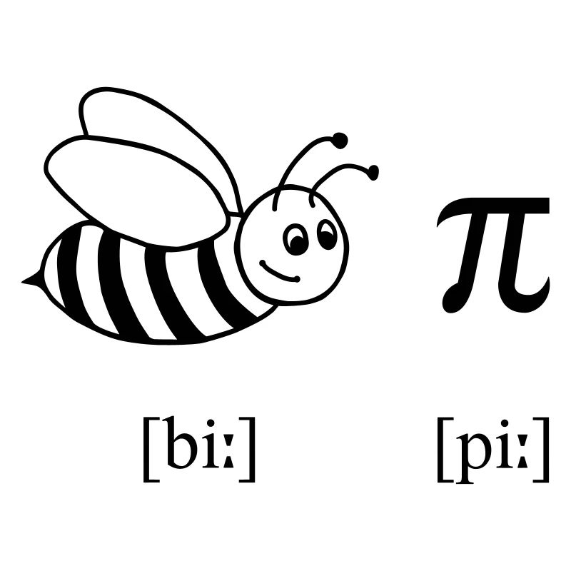 Bee Pi