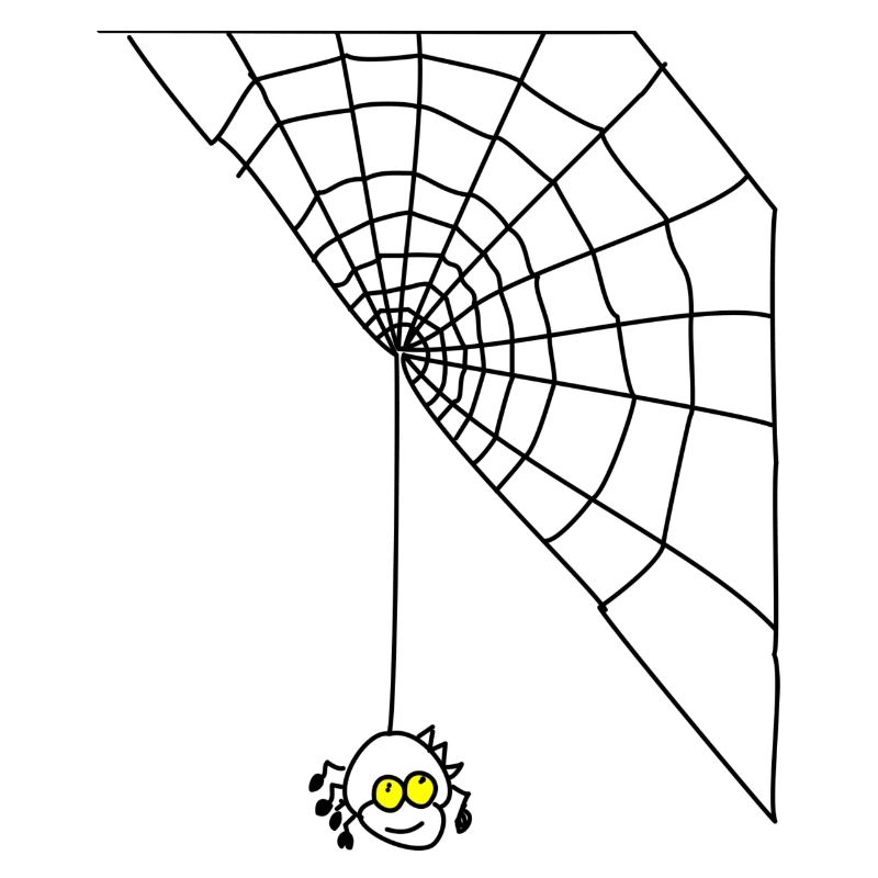 spider