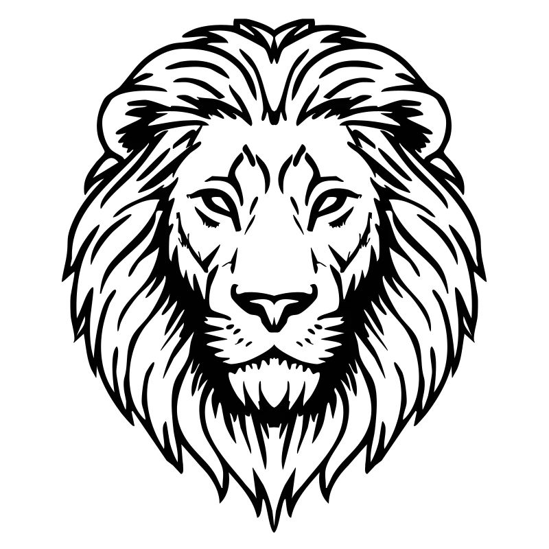 illustration de lion