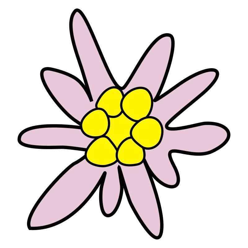 Edelweiss, ghosteweed