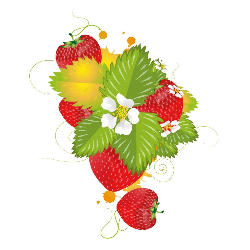 Fraises rouges aux fleurs vertes et blanches juteuses