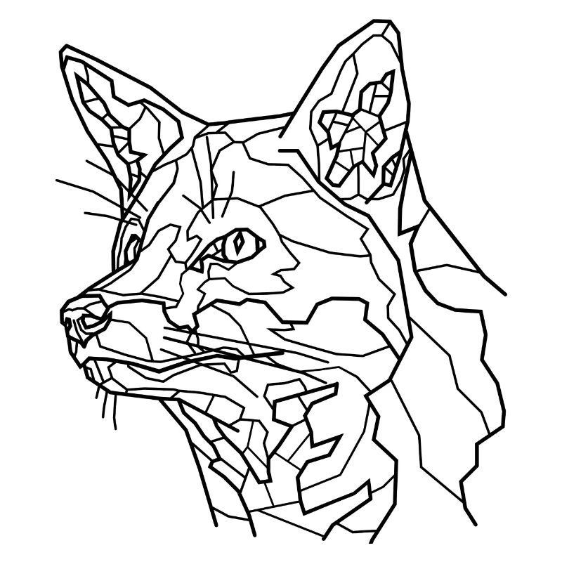 Fuchs Line Art